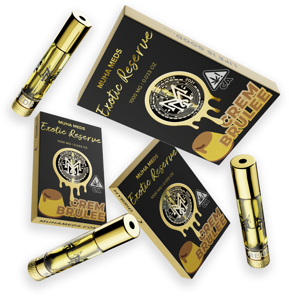 CREM BRULEE | HYBRID CREM BRULEE